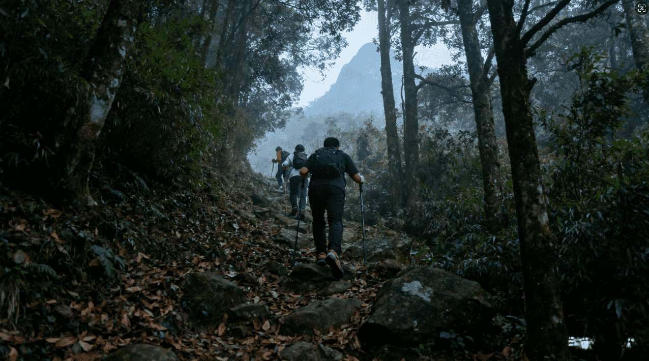 佛跳墙加速器专业版破解最新版免费下载与详细使用指南